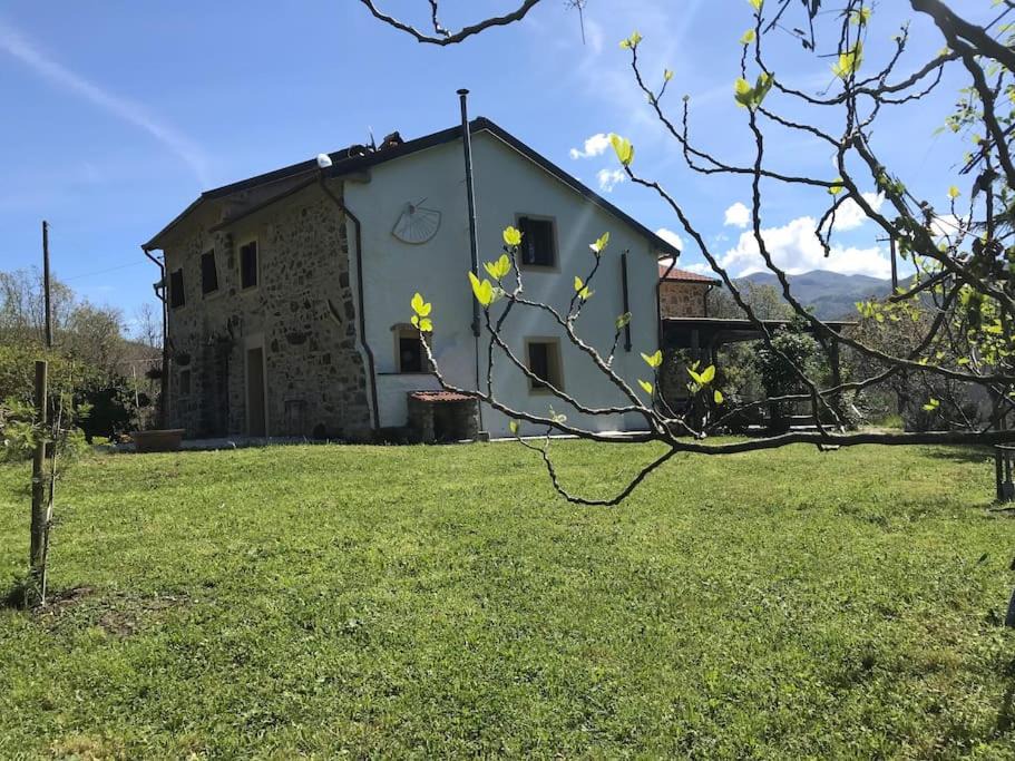 Photo of Others in Fosdinovo