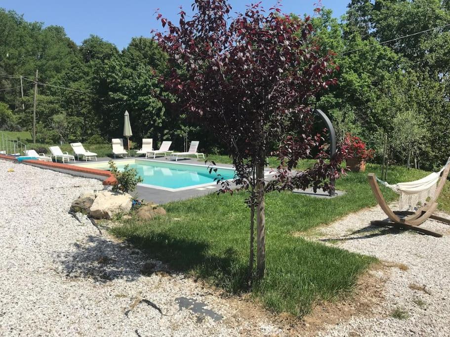 Photo of Outdoor in Fosdinovo