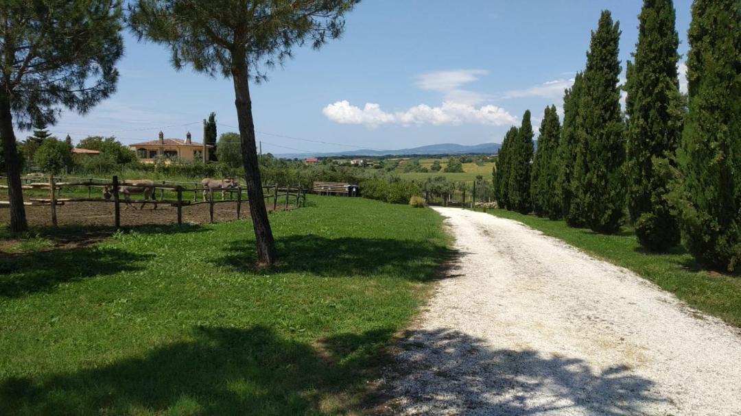 Photo of Others in Cerveteri