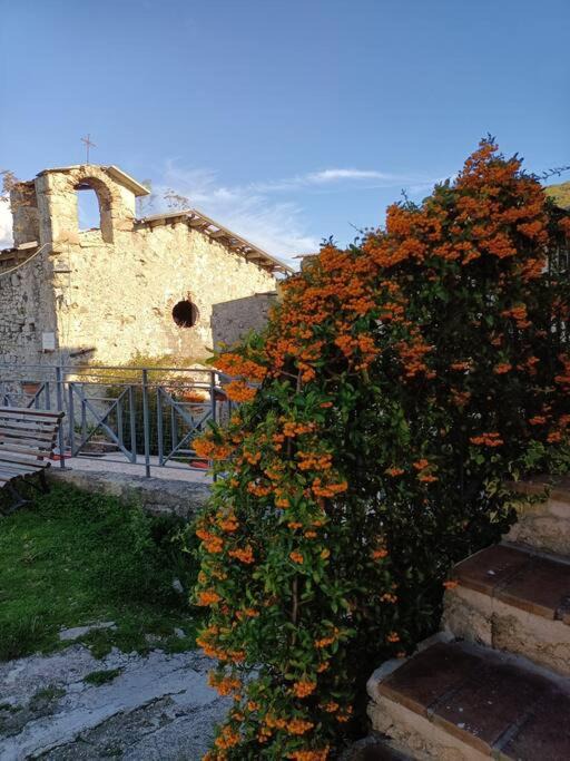 Photo of Buildings in Colle Rinaldo