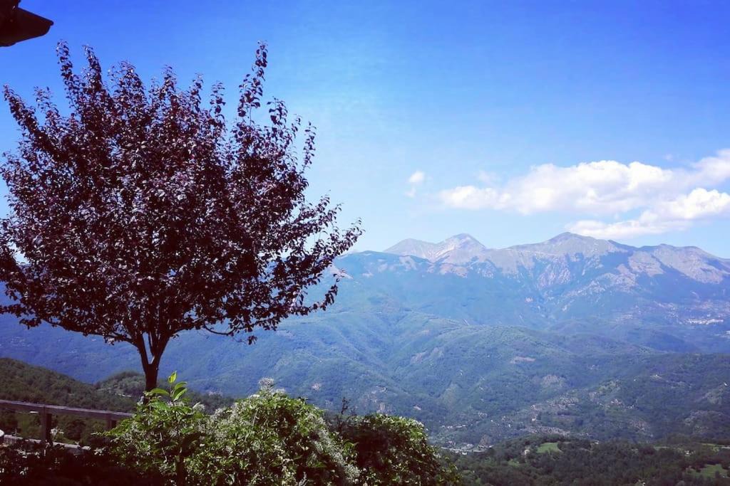 Photo of Outdoor in Colle Rinaldo