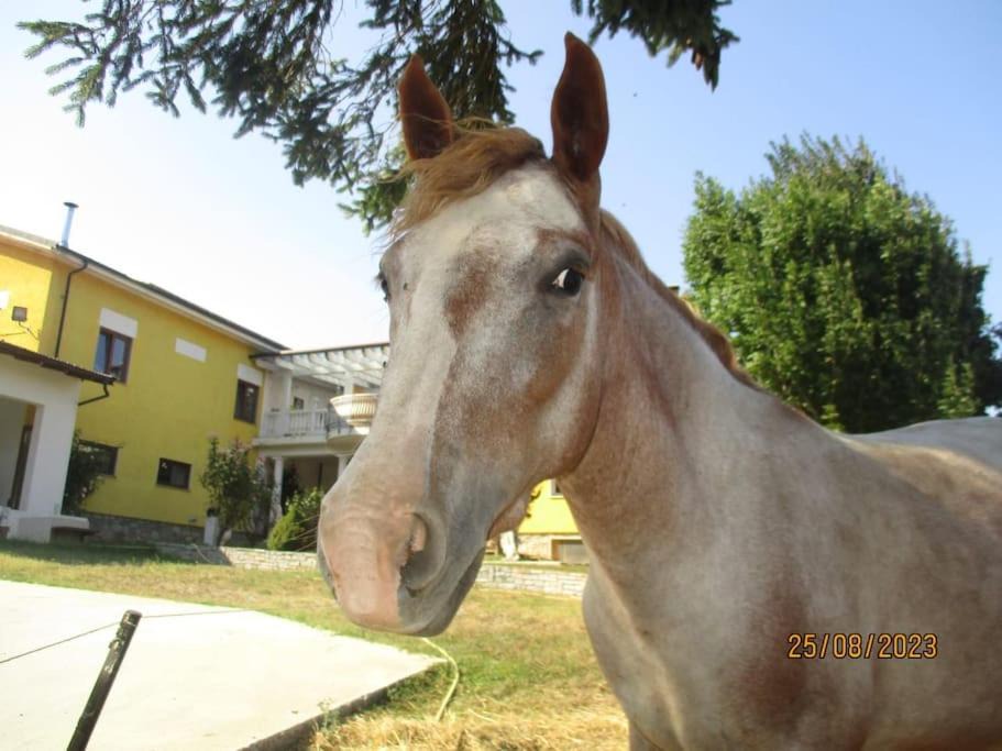Photo of Others in Bagnasco