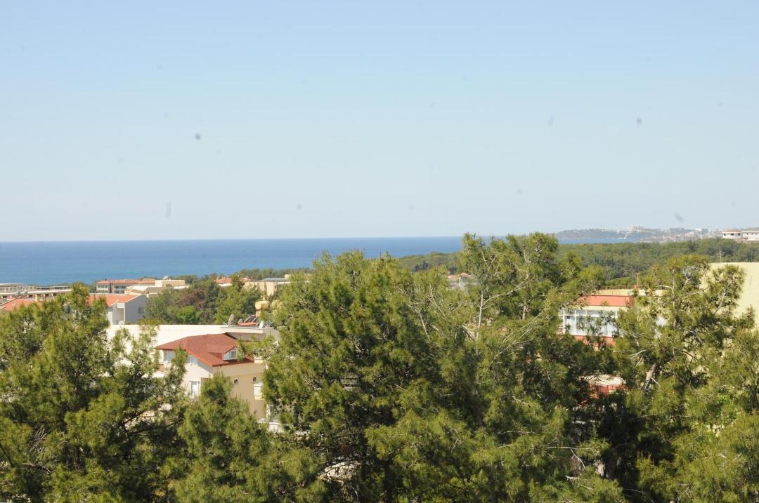 Photo of Others in Avsallar