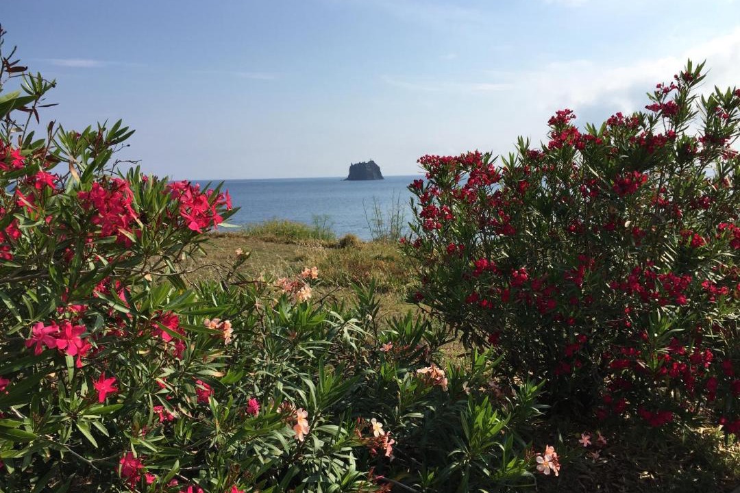 Photo of Others in Stromboli