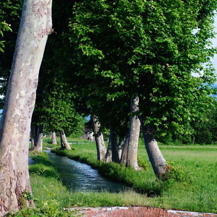 Photo of Others in Cuneo