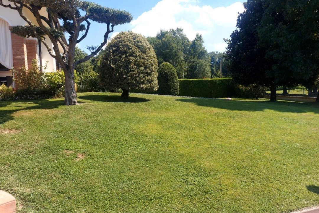 Photo of Others in Robegano