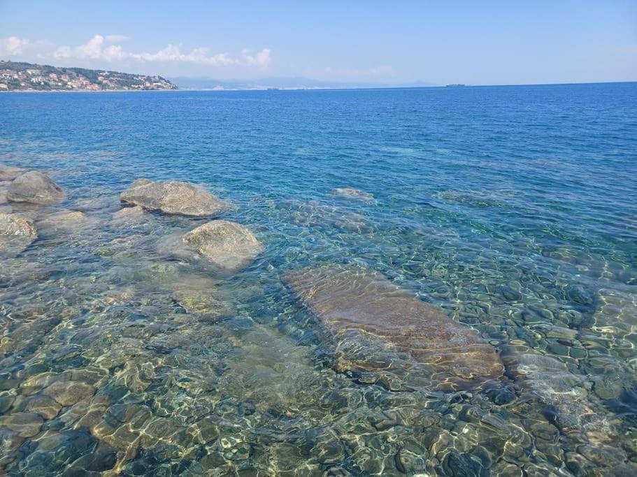 Photo of Others in Cogoleto