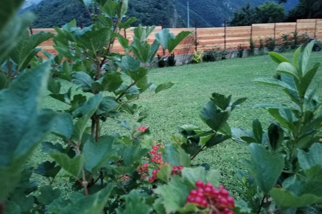 Photo of Outdoor in Valdieri