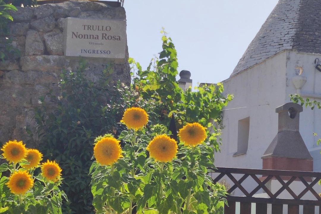 Photo of Buildings in Monopoli