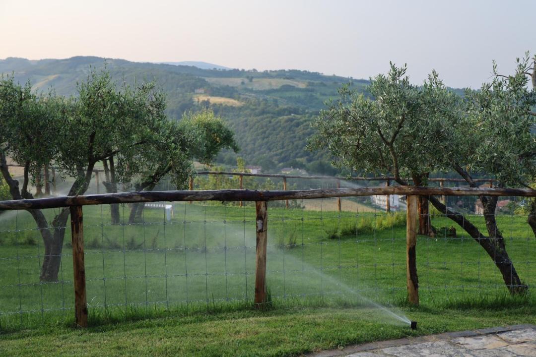 Photo of Others in Castel d'Arno