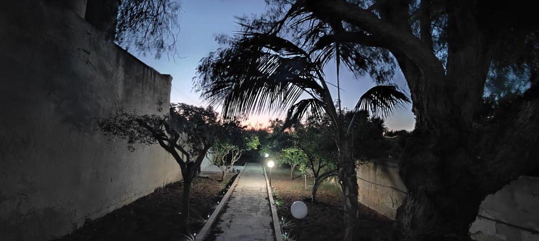 Photo of Others in Marsala