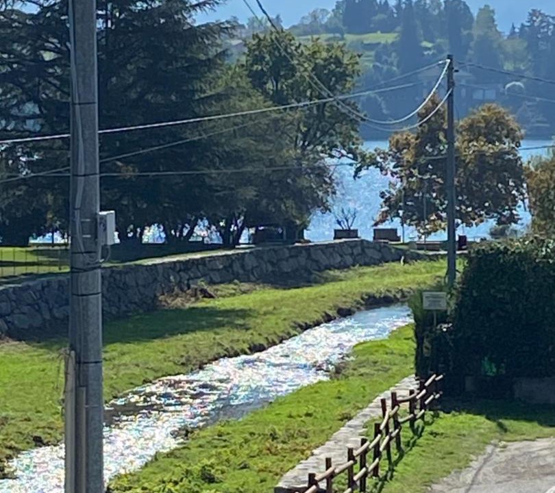 Photo of Others in Pettenasco