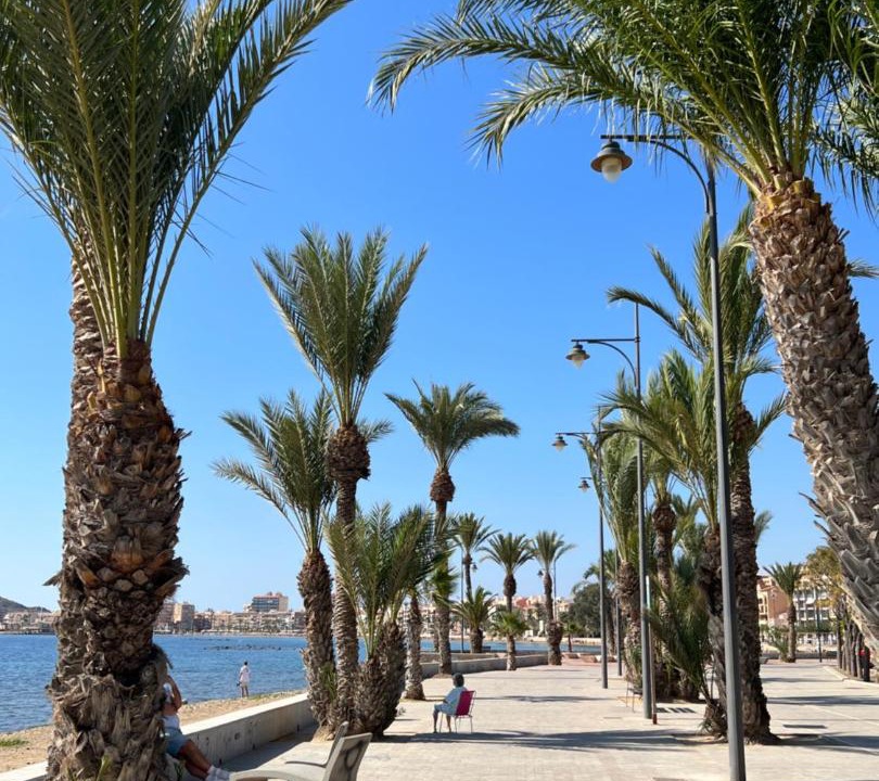 Photo of Others in Puerto de Mazarron