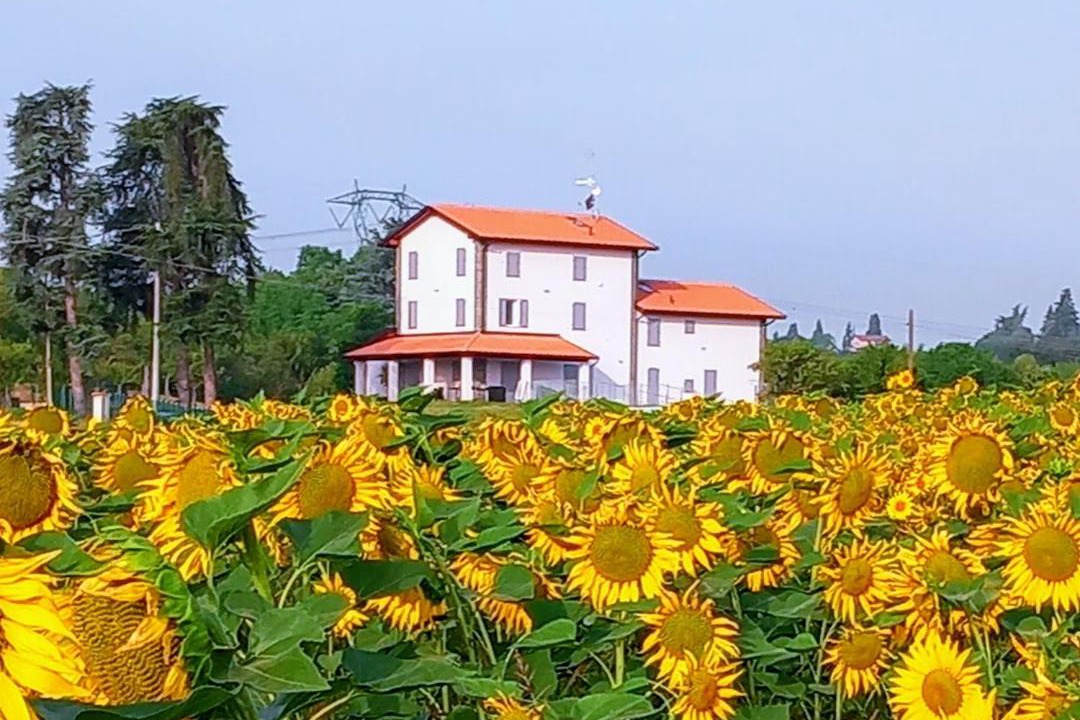 Photo of Others in Crespellano