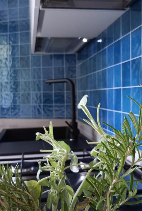 Photo of Kitchen in Pognana Lario