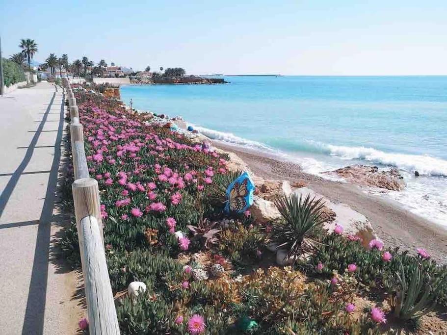 Photo of Outdoor in Vinaros