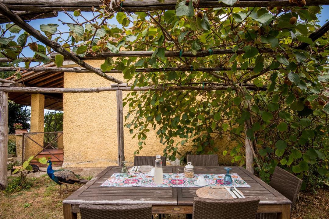 Photo of Patio Balcony in Montieri