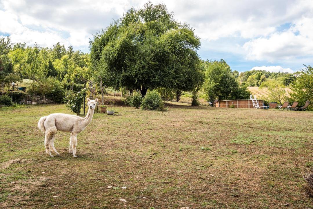 Photo of Others in Montieri