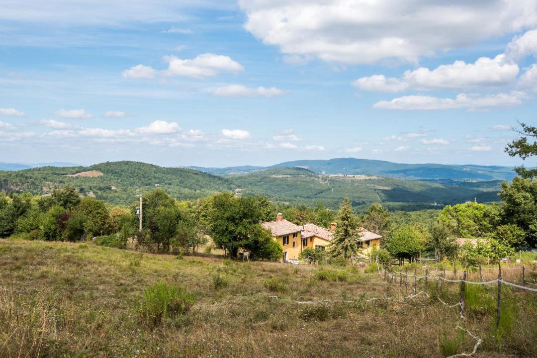 Photo of Others in Montieri