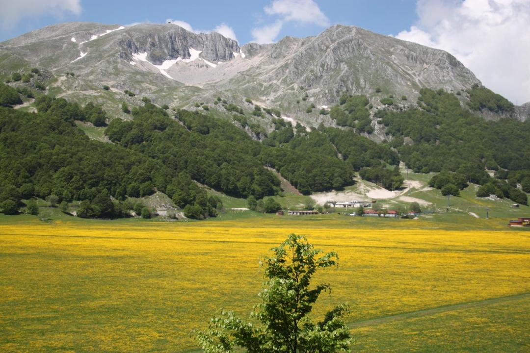 Photo of Others in San Massimo