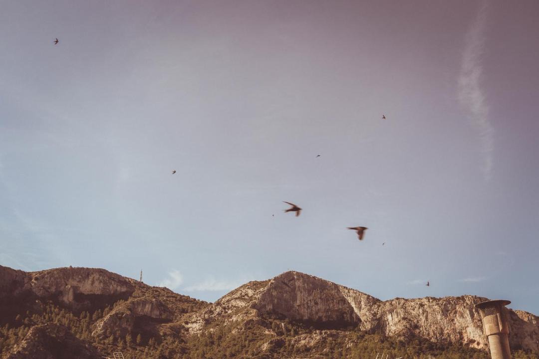 Photo of Others in Tivissa