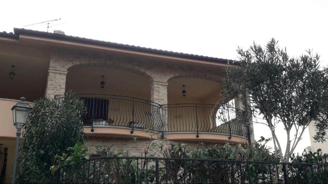 Photo of Others in Castelfidardo