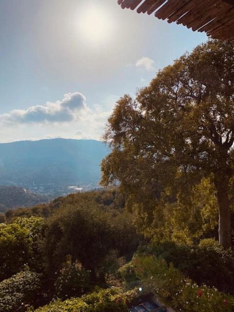 Photo of Outdoor in Lavina