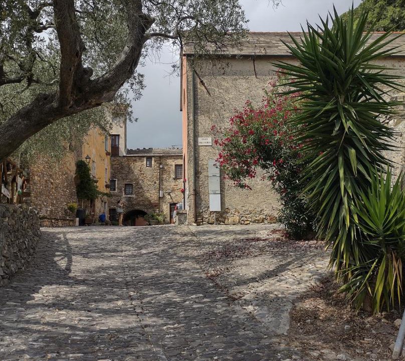 Photo of Buildings in Lavina