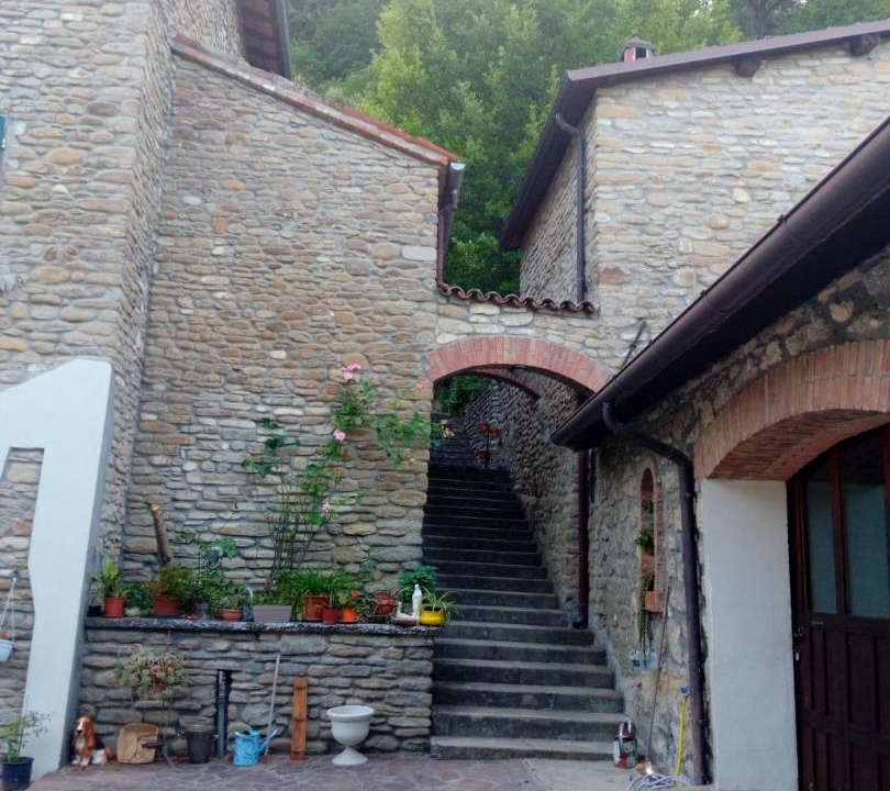 Photo of Others in Riolo Terme