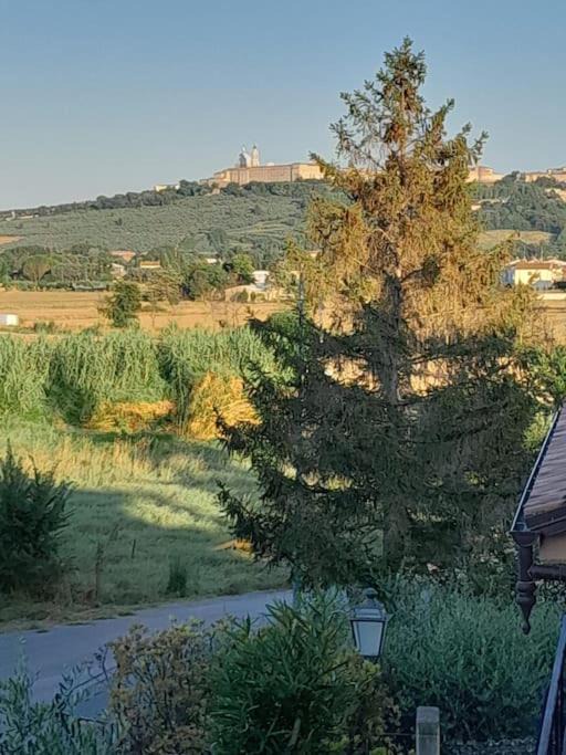 Photo of Others in Castelfidardo