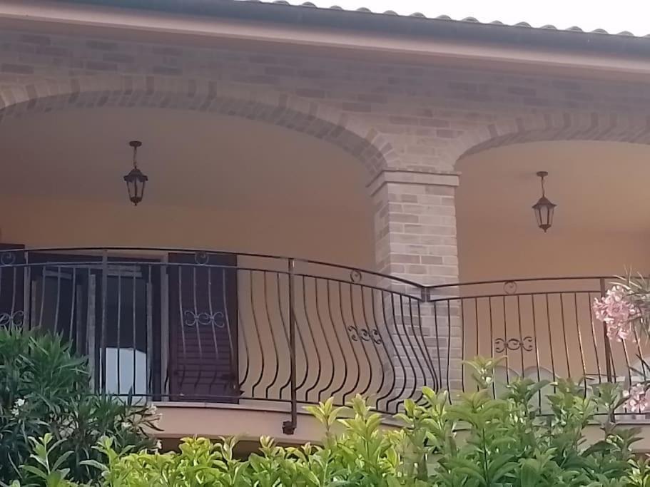 Photo of Others in Castelfidardo