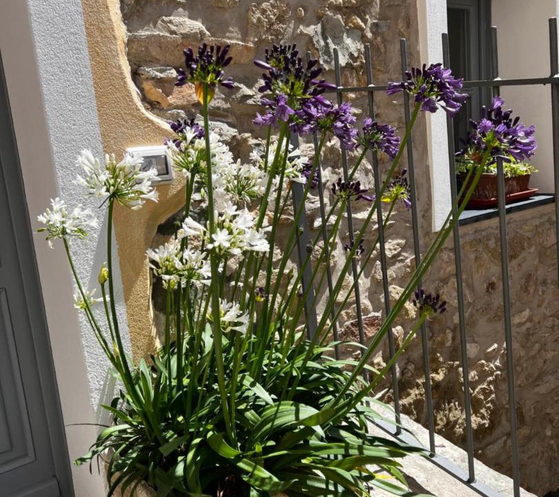Photo of Patio Balcony in Chiesa di Arnasco