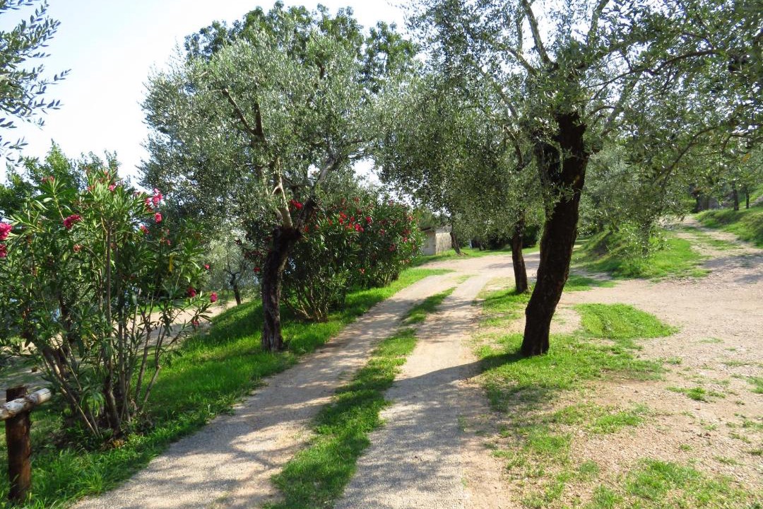 Photo of Outdoor in Pulciano