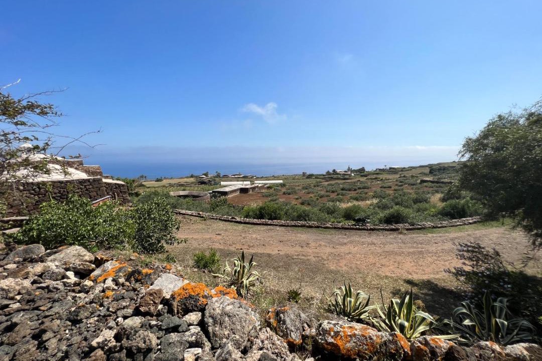 Photo of Others in Pantelleria