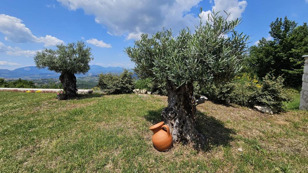 Photo of Others in Abbateggio