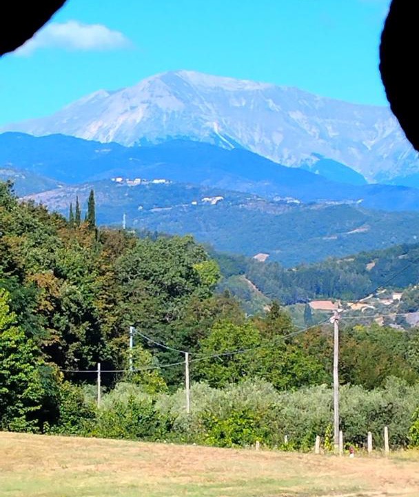 Photo of Others in Ascoli Piceno