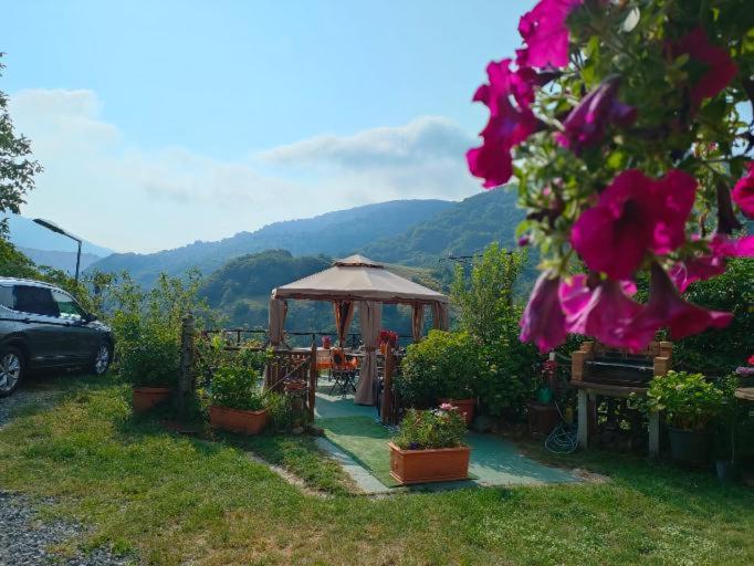 Photo of Others in Mormanno