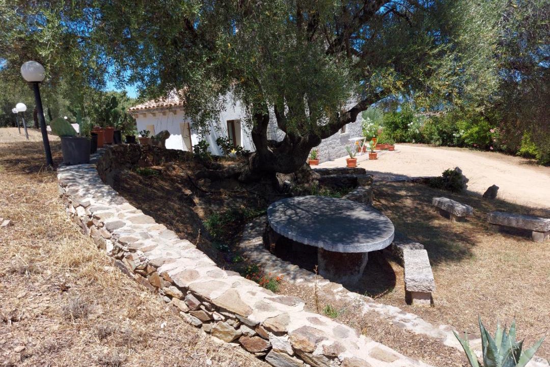 Photo of Others in San Teodoro