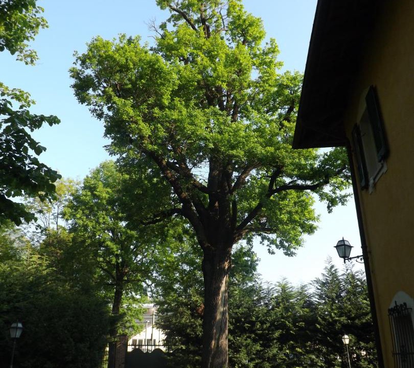 Photo of Outdoor in Piossasco