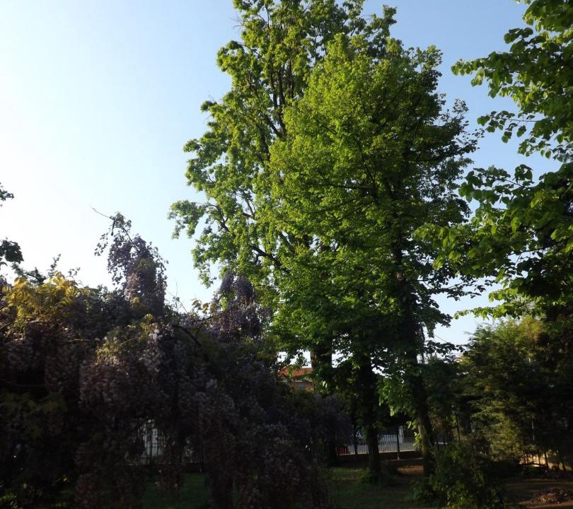 Photo of Outdoor in Piossasco