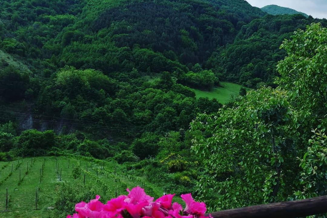 Photo of Others in Mormanno