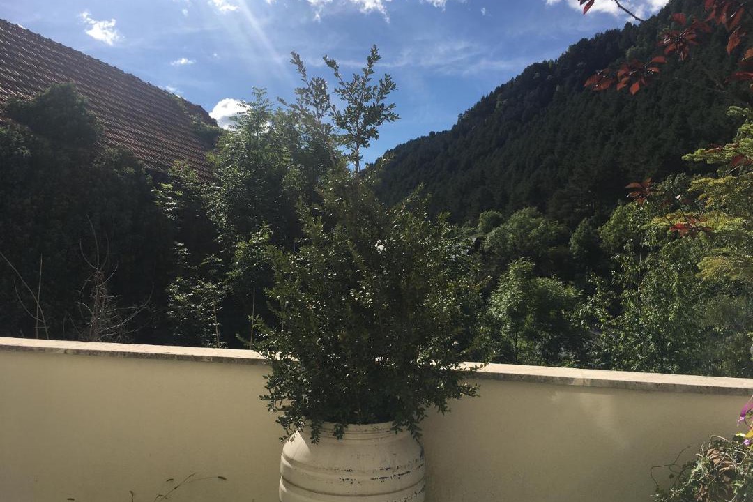 Photo of Outdoor in Chisagues