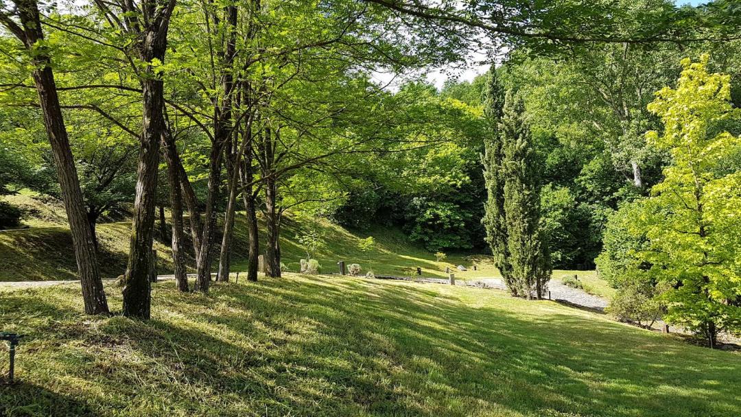 Photo of Outdoor in Vitorchiano