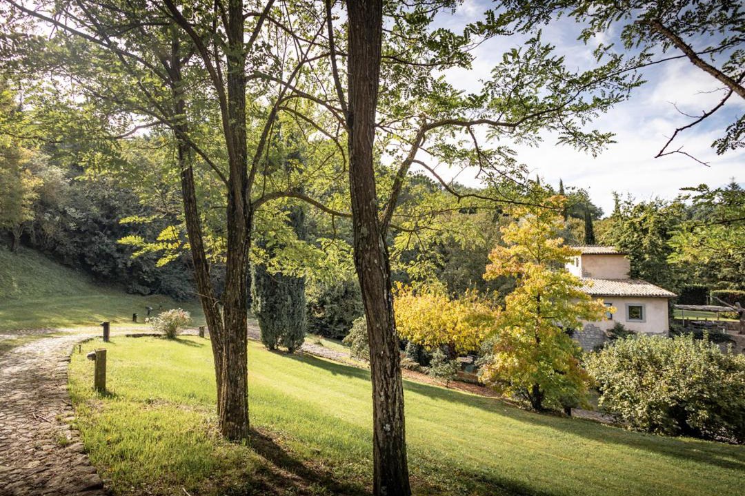 Photo of Outdoor in Vitorchiano