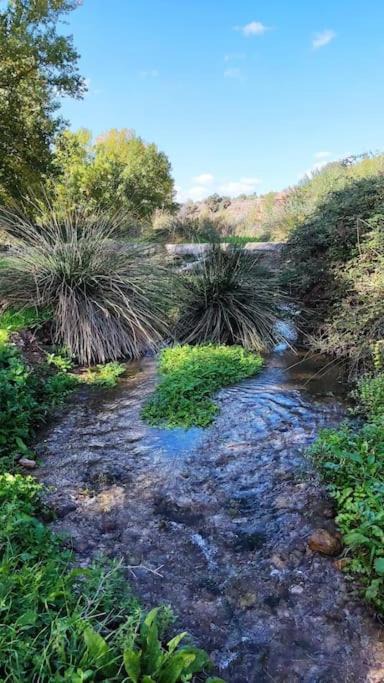 Photo of Outdoor in Teresa de Cofrentes