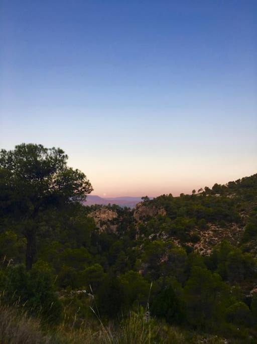 Photo of Outdoor in Teresa de Cofrentes