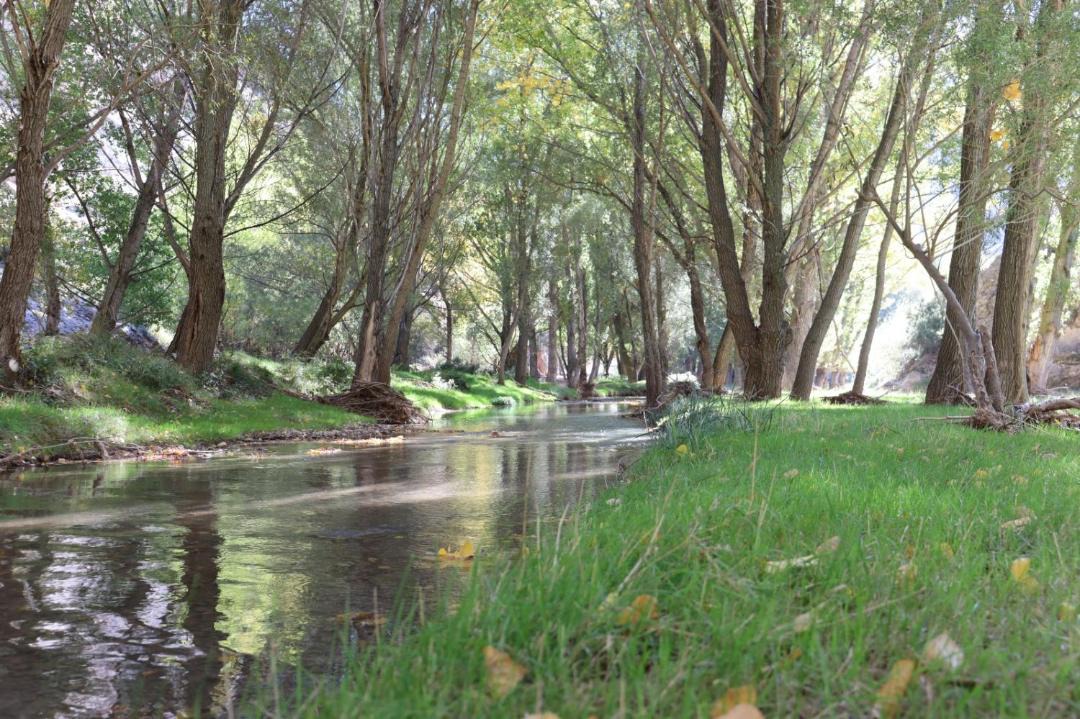 Photo of Outdoor in Aliaga
