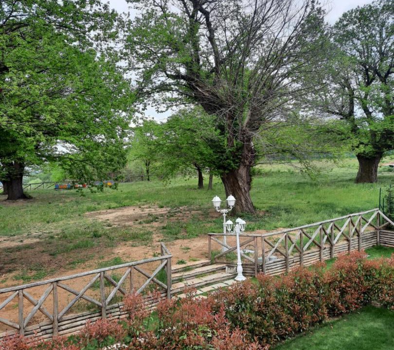 Photo of Others in Montaldo Roero