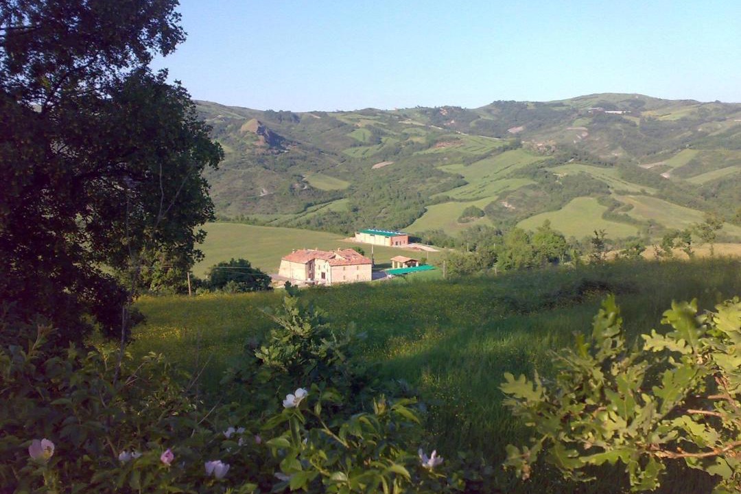 Photo of Others in Villa di Sassonero