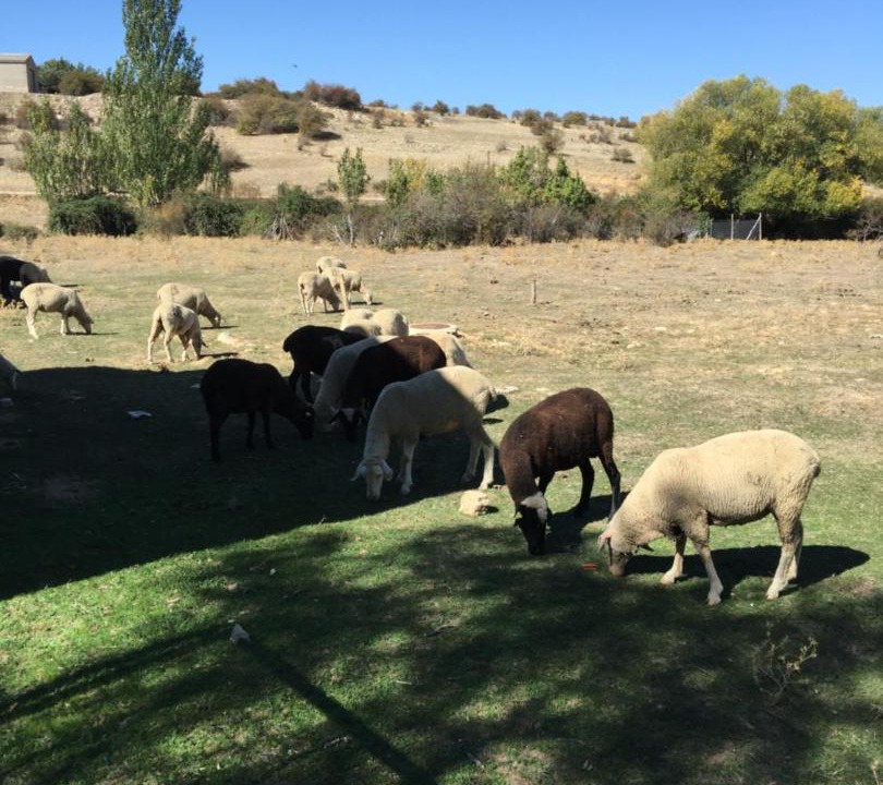 Photo of Outdoor in Las Majadas